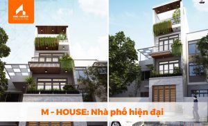 M - HOUSE: Nhà phố hiện đại, xanh mát và đậm cá tính